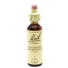 Bach Flower Honeysuckle (20ml)
