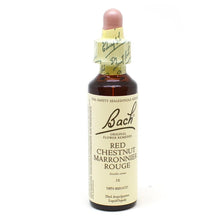 Bach Flower-Red Chestnut (20ml)