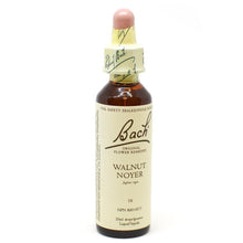 Bach Flower Walnut (20ml)