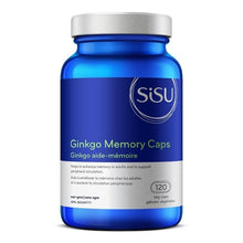 Ginkgo Memory Aid 60 Mg (120 V-caps)