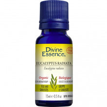 Organic Eucalyptus Radiata Essential Oil (15ml)