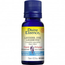 Organic Fine Lavender Essential Oil (15ml)