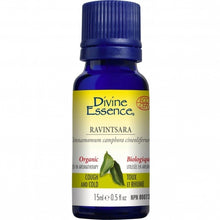 Organic Ravintsara Essential Oil (15ml)