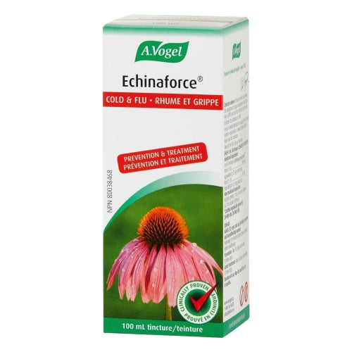 Echinaforce Cold & Flu (100ml)