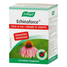Echinaforce 400mg (120 Caps)