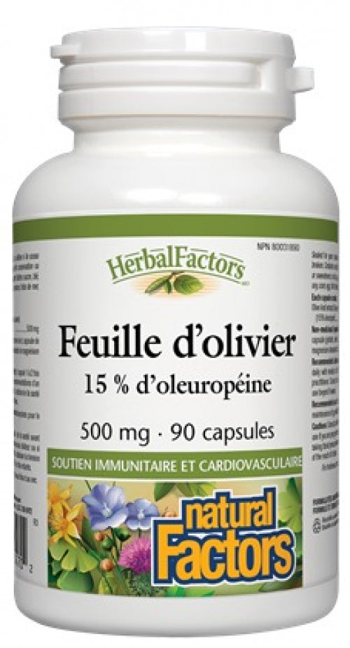 Olive Leaf 15% Oleuropein 500mg (90 Caps)