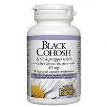 Black Cohosh Standardized Extract 40mg (90 Caps)