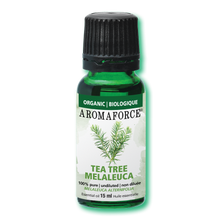 Melaleuca Essential Oil (15ml)