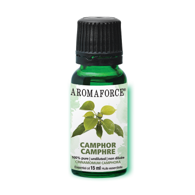 Camphor Essential Oil (15ml)