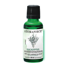 Eucalyptus Essential Oil (30ml)