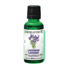 Lavender Essential Oil (30ml)