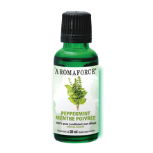 Peppermint Essential Oil (30ml)