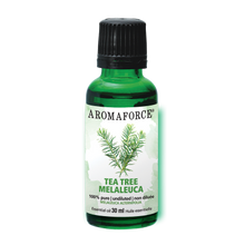 Melaleuca Essential Oil (30ml)