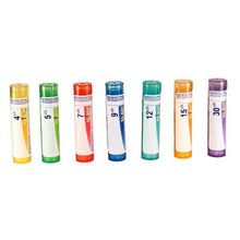 Magnesium Sulfuricum 9ch (80 Granules)