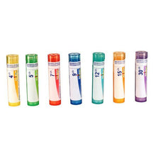 Rhus Toxicodendron 9ch (80 Pellets)