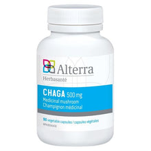 Chaga 500mg (90 Capsules)