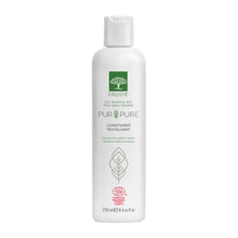 Pure & Pure Conditioner (250ml)