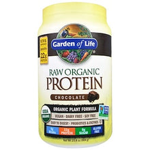 Organic Raw Protein - Chocolate (664g)