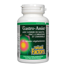 Gastro Assist (60 Capsules)