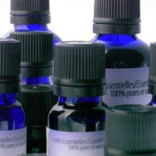 Java Citronella Essential Oil (15ml)