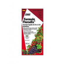 Floradix® Formula (500ml)