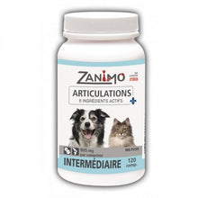 Zanimo Articulations Intermediate (120 caps)